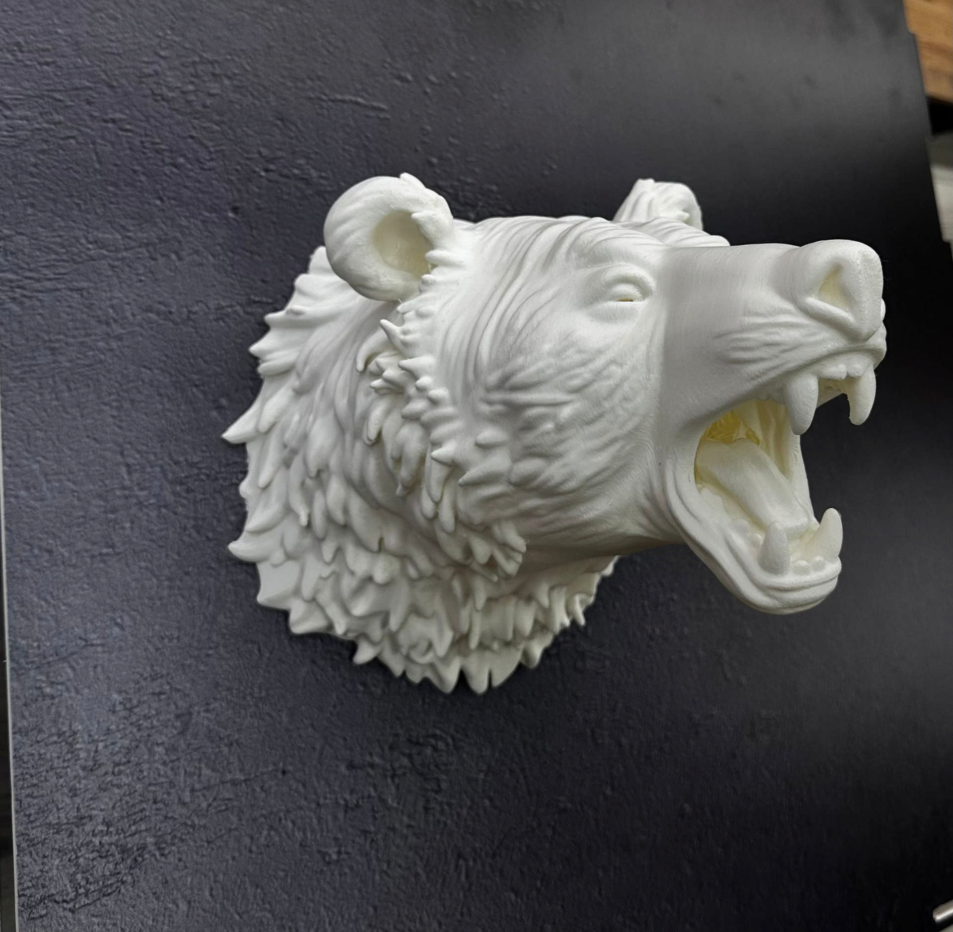 1242979_WhatsApp-Image-2025-11-24-at-16.01.52-2.jpeg Özel Tasarım Beyaz Ayı Duvar Aksesuarı 3D Dekoratif Heykel 25x19 cm - Görsel 3