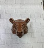 KAHVERENGİ AYI - Görsel 2