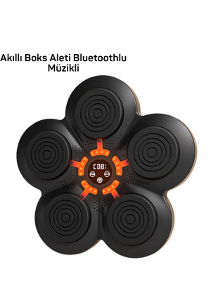 MÜZİK BOX MAKİNESİ
