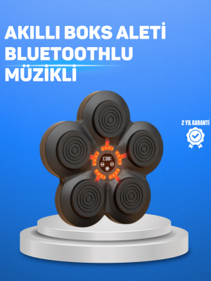 Müzikli Boks Duvar Paneli Akıllı Işık Sistemli Refleks ve Kondisyon Aleti