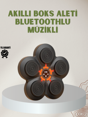 Bluetoothlu Akıllı Boks Antrenman Cihazı Işıklı Hedefli Kardiyo ve Fitness Aleti