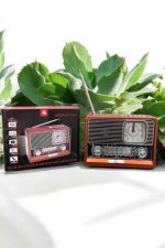 Nostaljik Görünümlü USB Girişli Bluetooth Bağlantılı Radyo - Görsel 3