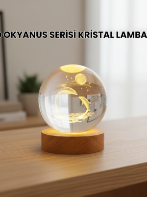 3D Yunus Desenli Kristal Küre Ahşap Tabanlı Işıklı Dekor Objesi