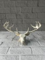 Dekoratif Geyik Başı Heykel 25 cm Modern Minimal Tasarım - Görsel 5