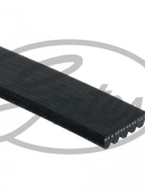 KANALLI V KAYIŞI (5PK1200) [ RENAULT CLIO II, KANGOO, SYMBOL I 1.5 DCI 2001 -, MASTER II 2.5 D/2.8 DTI 1998-2001, MEGANE II 1.4 16V/1.6 16V/1.5 DCI 2002-2008 ]