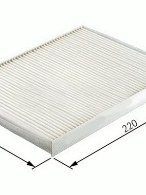 POLEN FİLTRESİ (CİTROEN C5 - CİTROEN BERLINGO II)