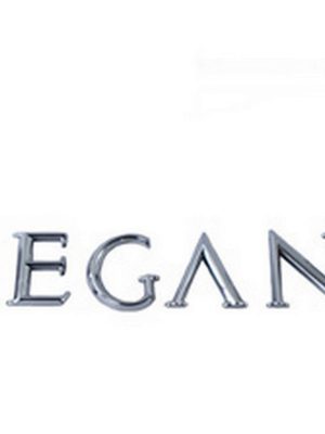 ARKA BAGAJ YAZISI MEGANE MEGANE II