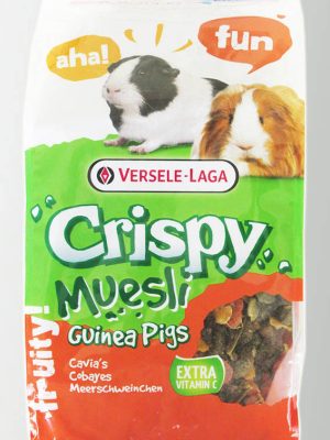 VERSELELAGA M GUINEA PİG 1 KG YEM