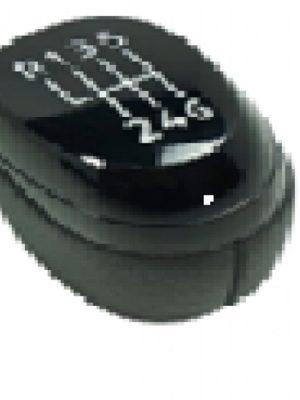 VİTES TOPUZU SİYAH MEGANE 4