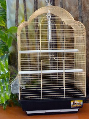 EUROGOLD PIRINÇ TELLI OVAL ÇATILI KUŞ KAFESI 34,5X28X54,5CM X 1 ADET