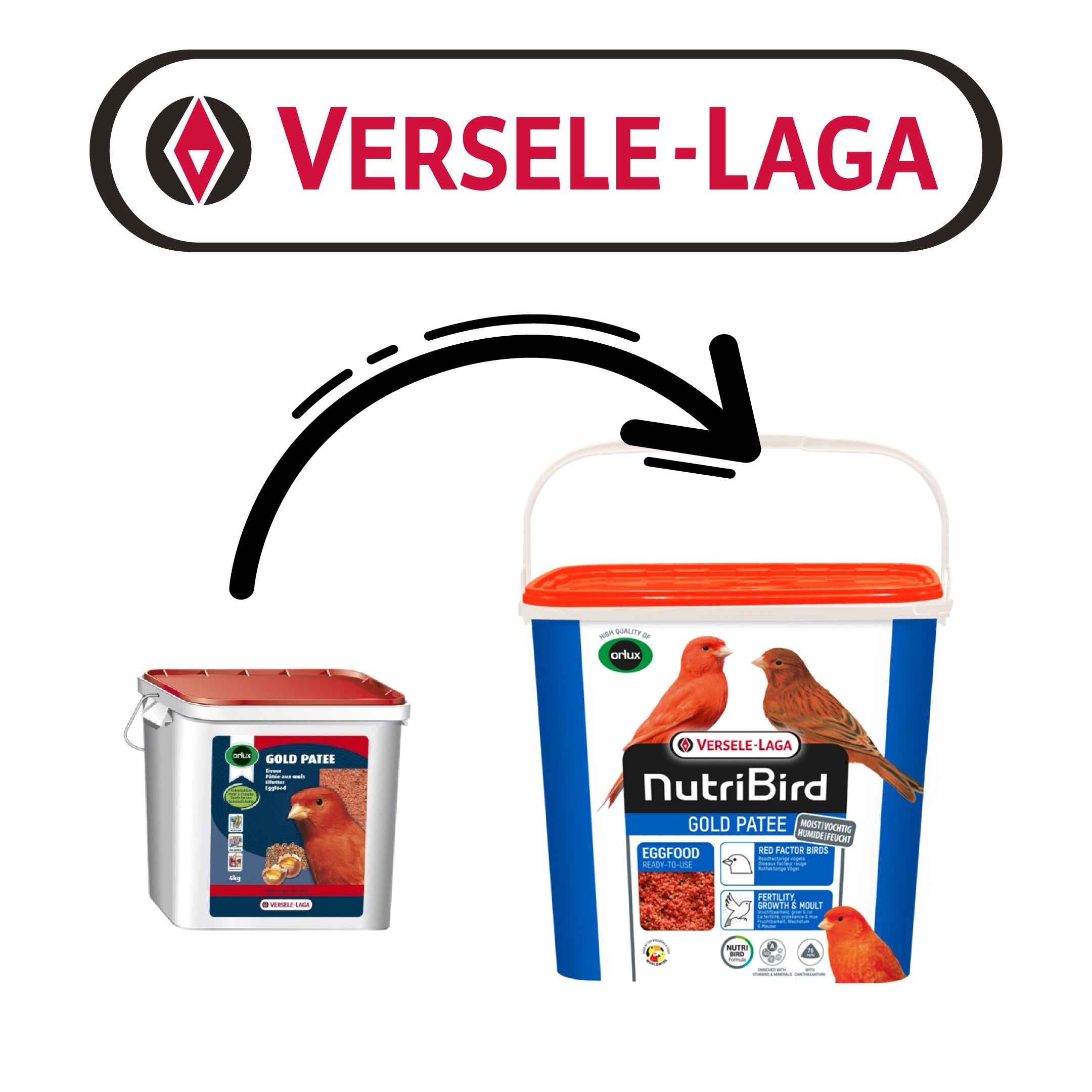 8fd0a5376a6e922b58464ab70f1d2dda.jpg Versele Laga Nb Gold Patee Red Factor 5kg - Görsel 2