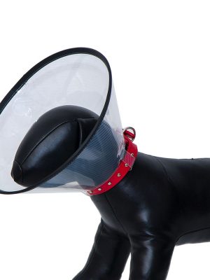 Eastland Elızabeth Dayanıklı Yakalık 10 Cm