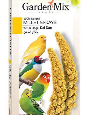 Gardenmix Platin Sarı Dal Darı