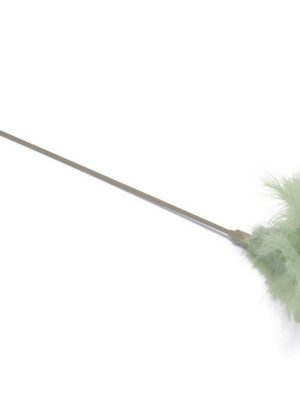 Beeztees Yavru Kedi Oltası 45 Cm