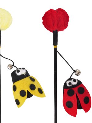 Karlıe Kedi Oltası Uğur Böceği