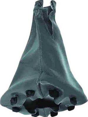 VİTES KÖRÜĞÜ PALIO-SIENA