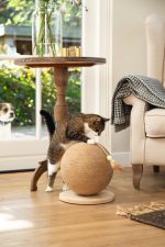 Beeztees DBL Kedi Tırmalama ve Oyuncağı, 30x31x31,5cm - Görsel 2