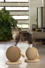 Beeztees DBL Kedi Tırmalama ve Oyuncağı, 30x31x31,5cm - Görsel 4