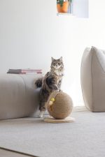 Beeztees DBL Kedi Tırmalama ve Oyuncağı, 30x31x31,5cm - Görsel 6