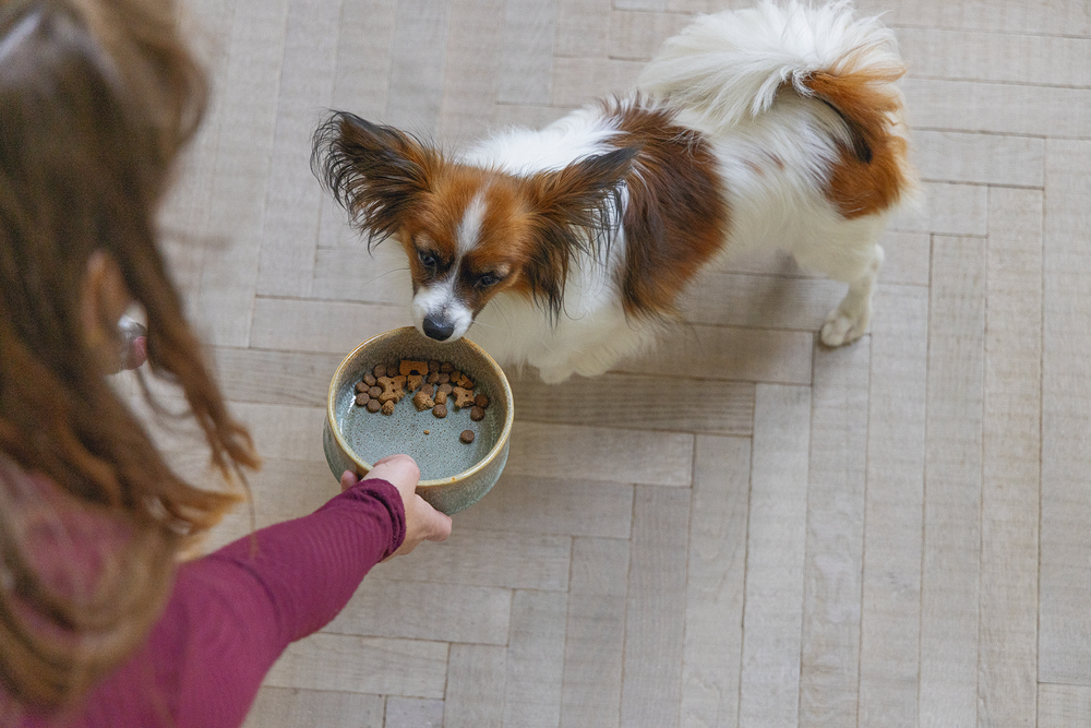 beeztees-dbl-kopek-mama-su-kabi-seramik-yesil-135cm-500ml-seramik-mama-ve-su-kab-beeztees-20955-53-B.jpg Beeztees DBL Köpek Mama Su Kabı, Seramik, Yeşil, 13,5cm, 500ml - Görsel 8