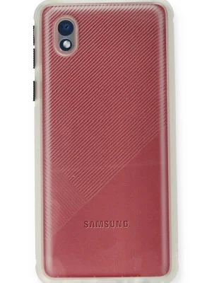 Newface Samsung Galaxy A01 Core Kılıf Miami Şeffaf Silikon - Şeffaf