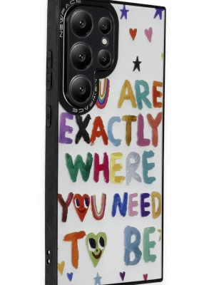 Newface Samsung Galaxy S24 Ultra Kılıf Mirror Desenli Kapak - Mirror - 10