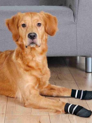 Trixie Köpek Çorabı Kaymaz L-XL 2 Adet Siyah