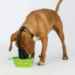 Trixie Esnek Silikon Köpek Ağızlığı S - Görsel 7