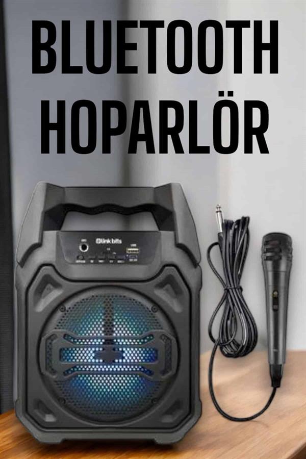 Compressed by jpeg-recompress Güçlü ve Şarj Edilebilir Bluetooth Hoparlör 6.5 İnç - Görsel 2